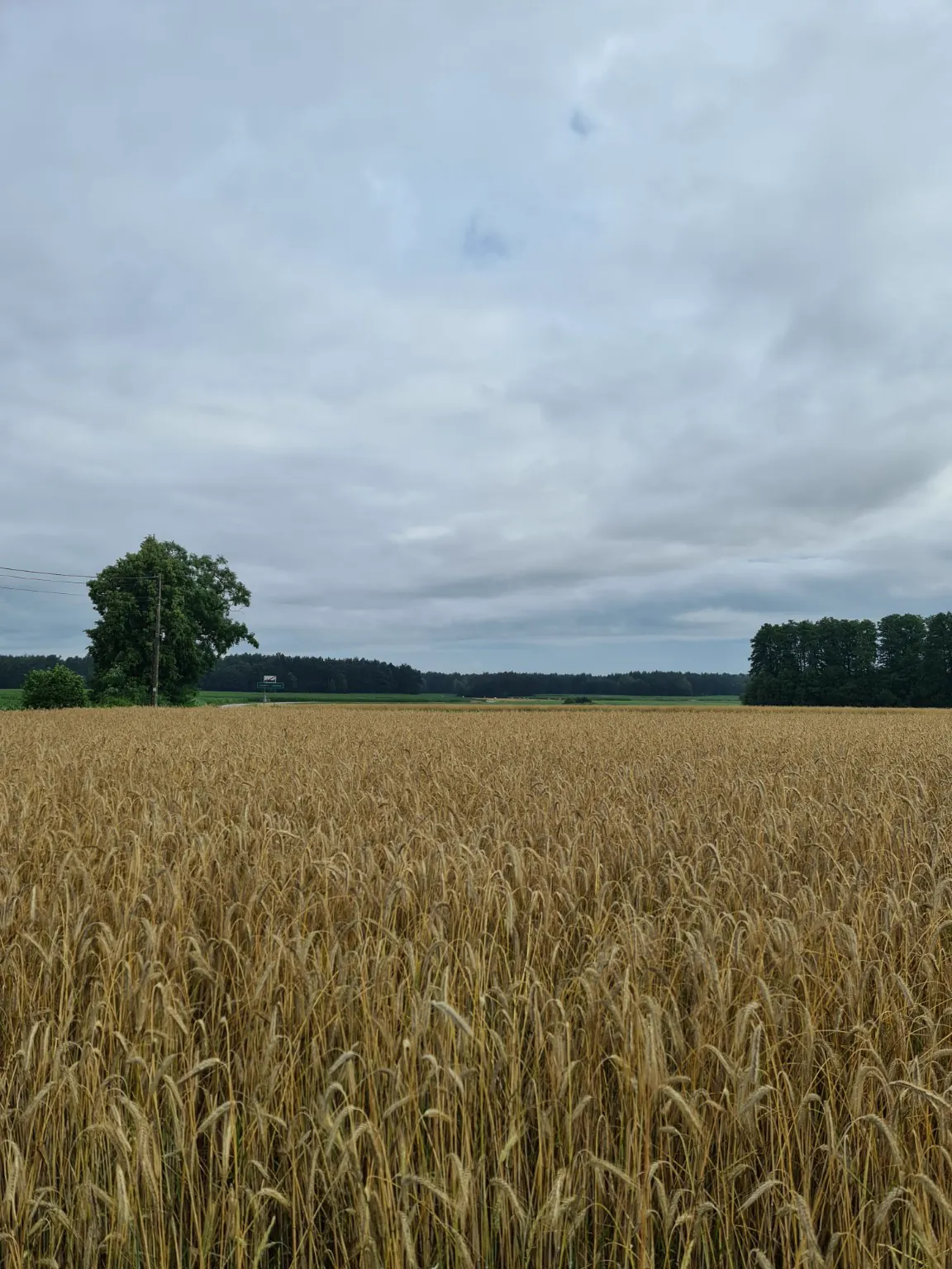 Szerokie niebo nad okolicą